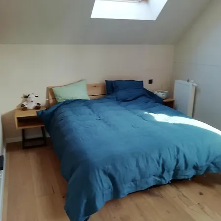 Luxury Eco With Large Garden And Lots Of Light *