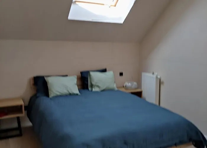 Luxury Eco With Large Garden And Lots Of Light *