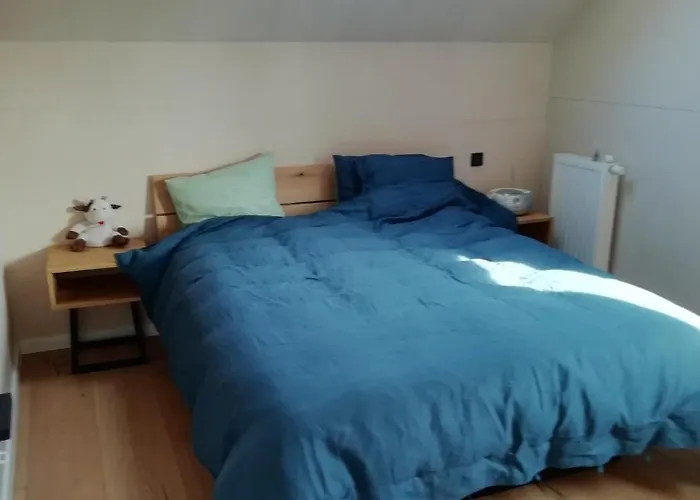 Luxury Eco With Large Garden And Lots Of Light *